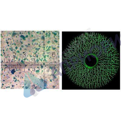 helling super magna cgy 4000 магнитный порошок